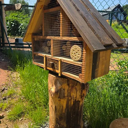 Chalet Polana Jelenia Glowa *