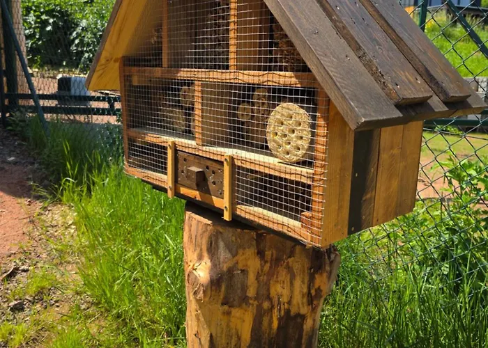 Alpesi faház Polana Jelenia Glowa *